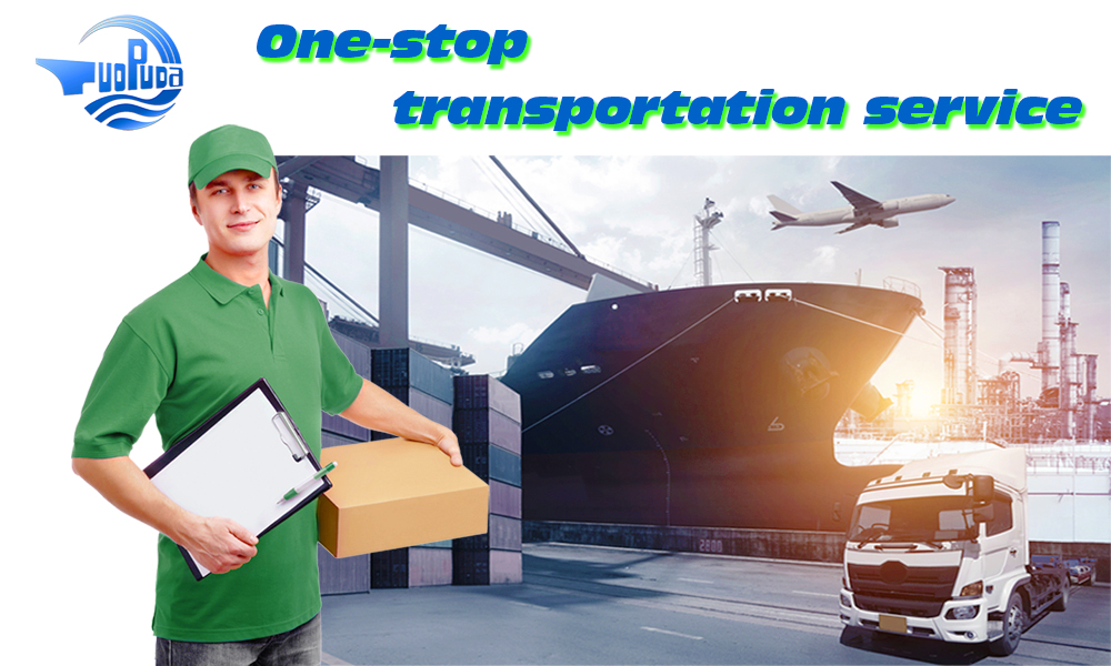 Shipping Agent From Shenzhen To Saudi Atabic - TPD Shipping